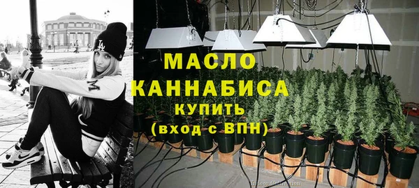 дмт Алексин