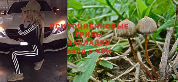 mdpv Алзамай