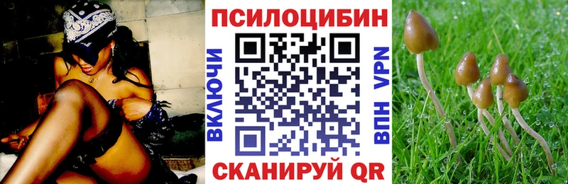даркнет сайт  Мураши  Галлюциногенные грибы мухоморы 